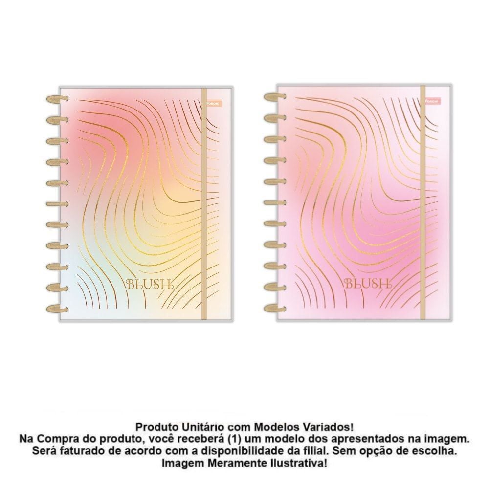 Caderno Universitário Discbook Blush 160 Folhas Foroni - Sortido 