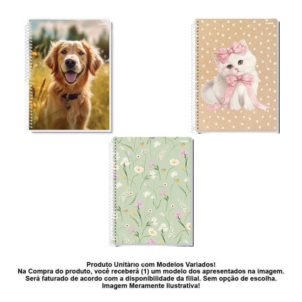 Caderno Universitário Espiral 10 Matérias 200 Folhas Credeal - Sortido