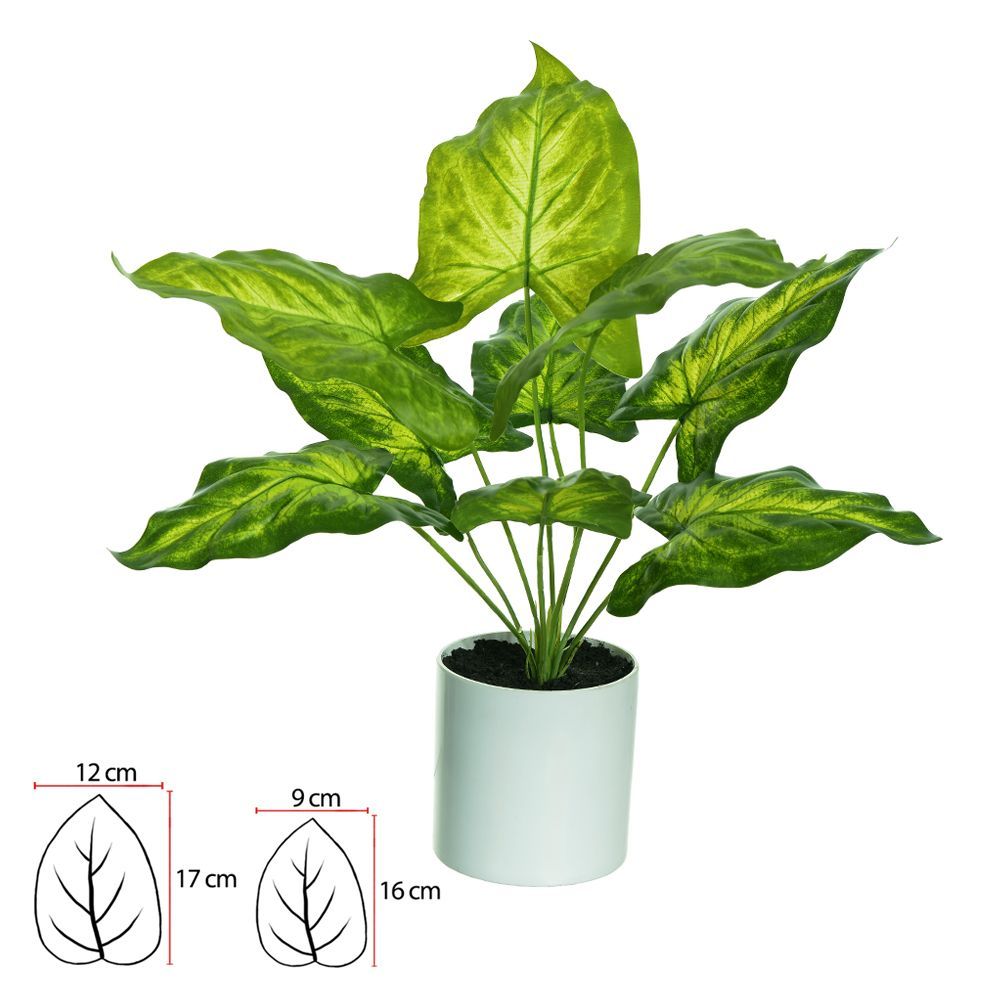 Caladium Real Toque C/Pote X9 Verde 42Cm 