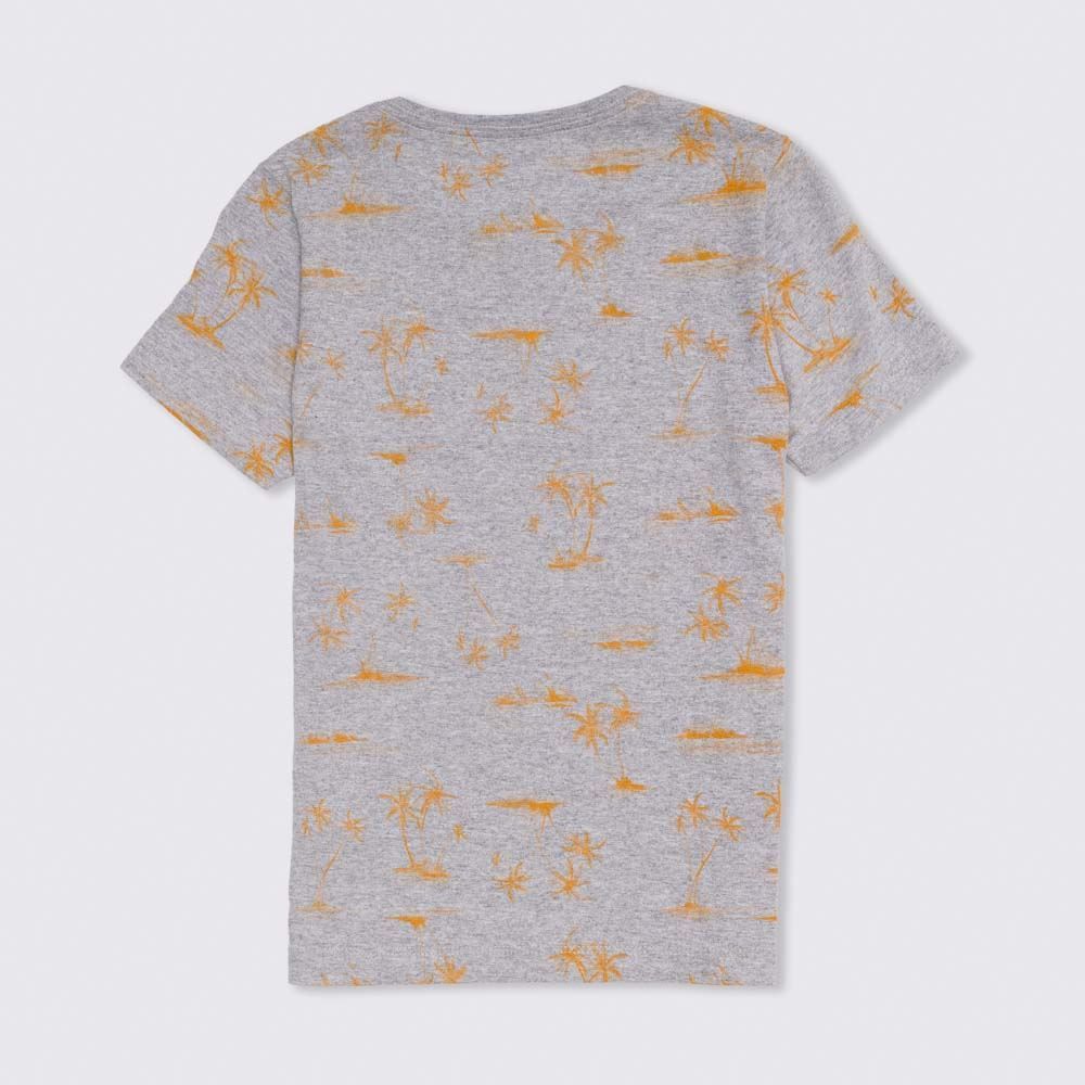 Camiseta 12 a 16 anos Malha Coqueiros Hot Dog