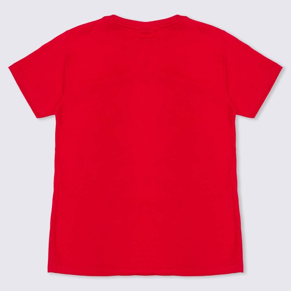 Camiseta 4 a 10 anos Malha Silk Surf Brinde Hot Dog