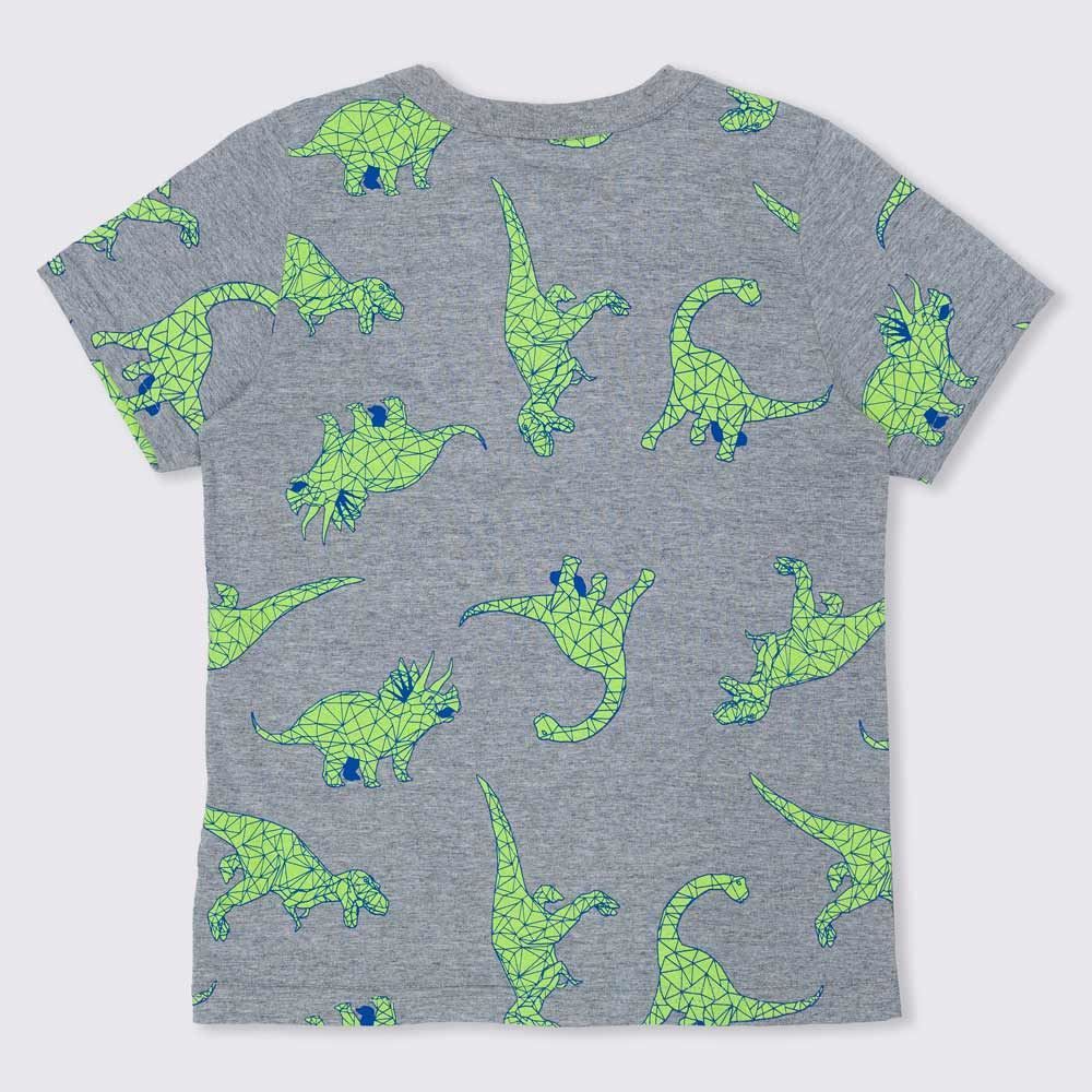 Camiseta 4 a 10 anos Meia Malha Dinos Hot Dog