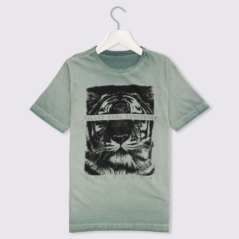 Camiseta 4 a 10 anos Tigre Alakazoo