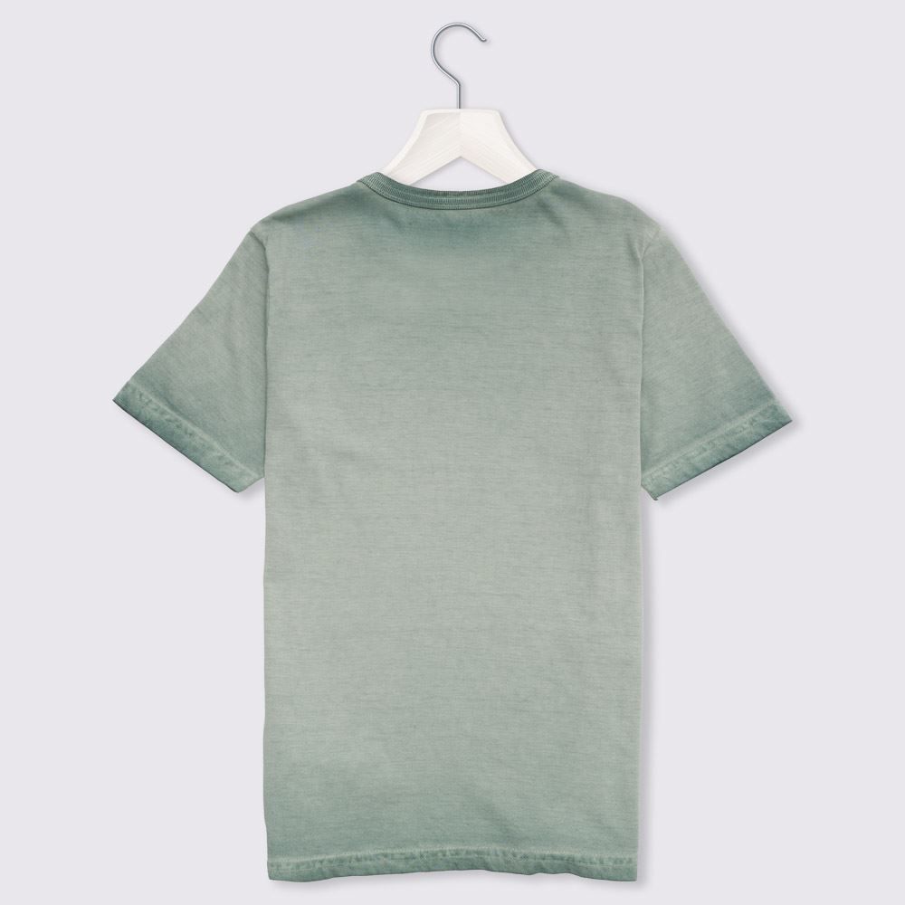 Camiseta 4 a 10 anos Tigre Alakazoo