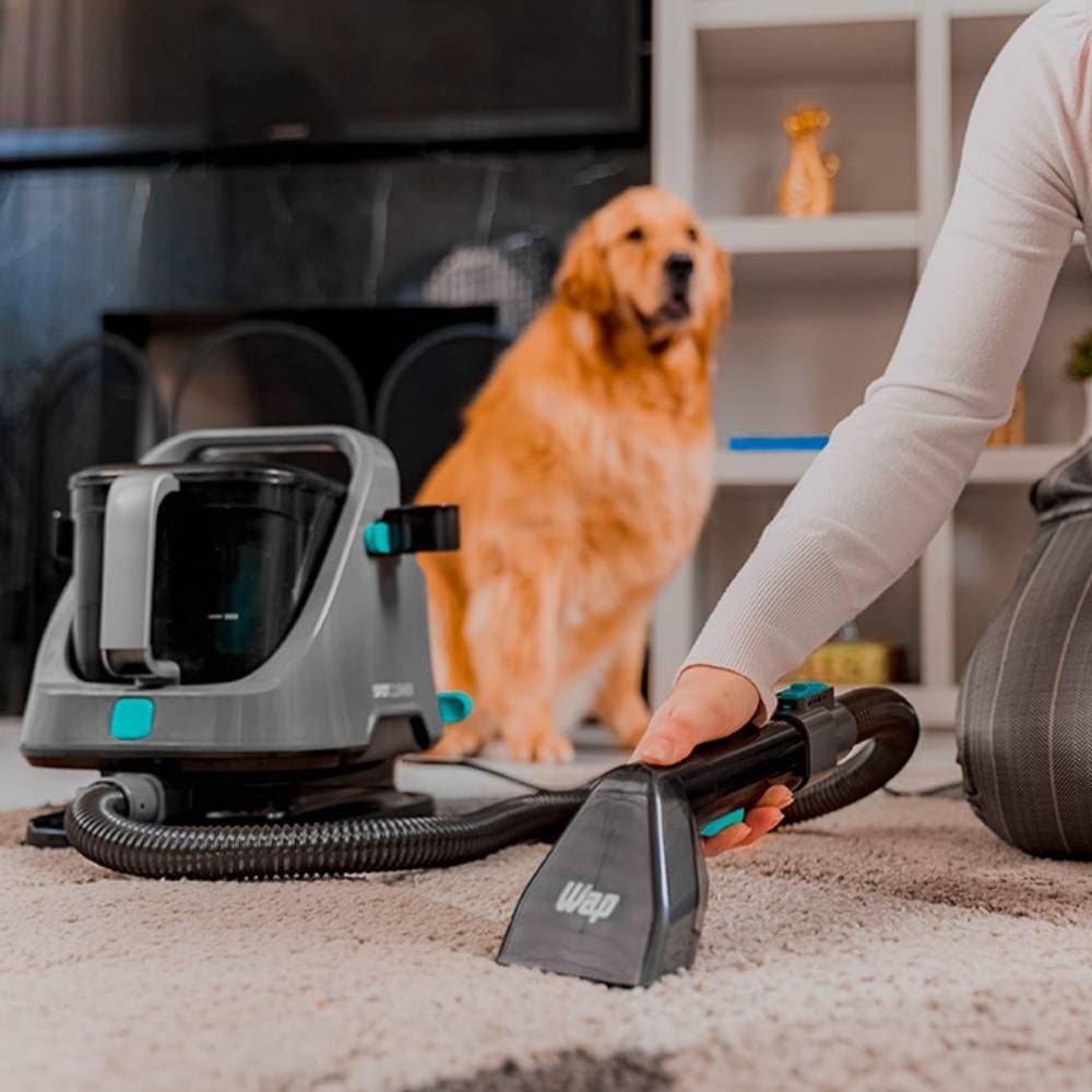 Extratora e Higienizadora Portátil Wap Spot Cleaner W2