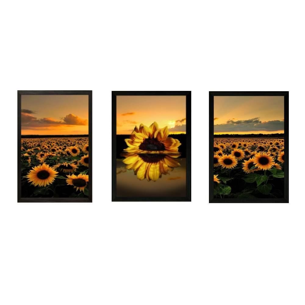 Jogo De Quadros Fx Quadros 28Cm 3 Peças - Girassol