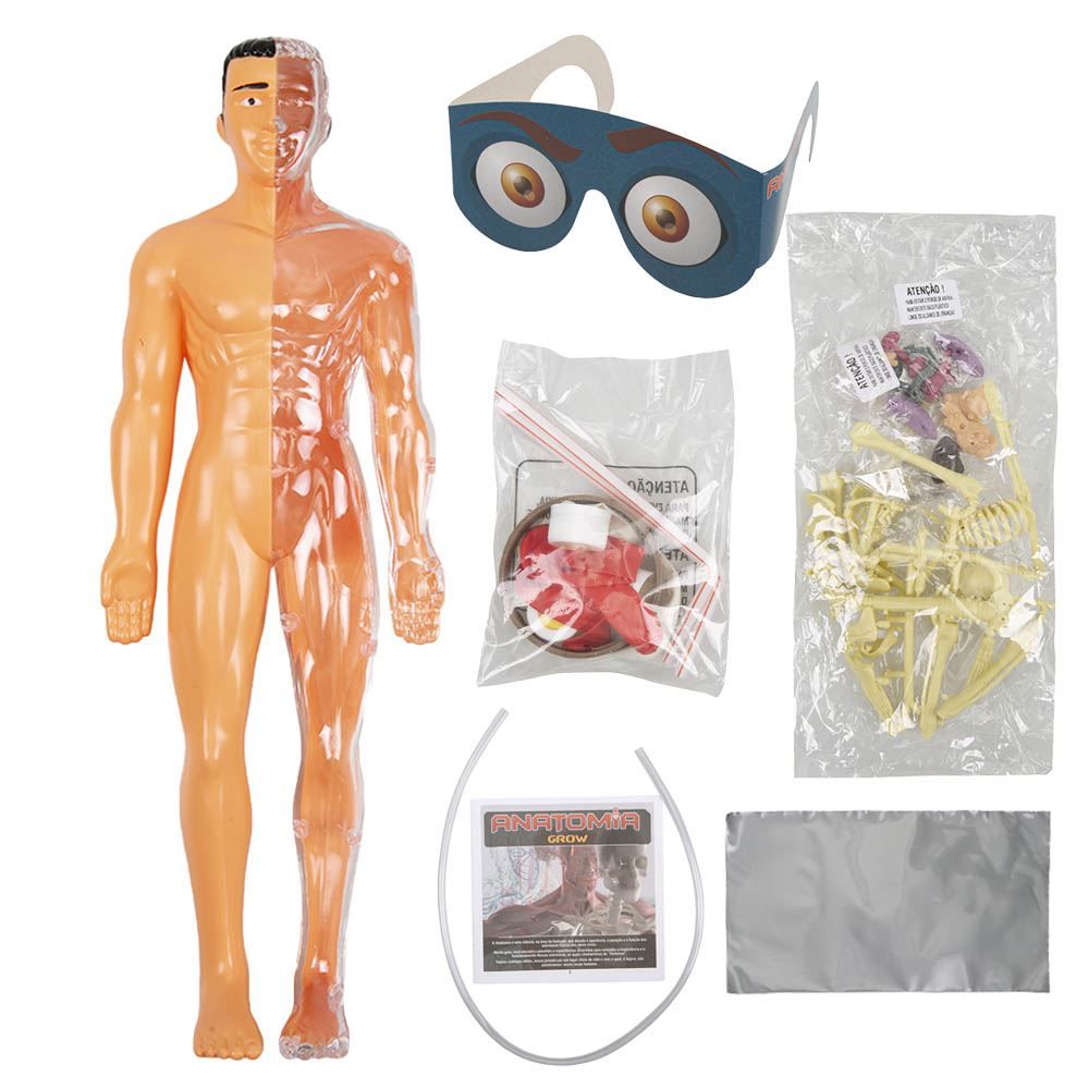 Jogo Grow Kit Anatomia - 03443