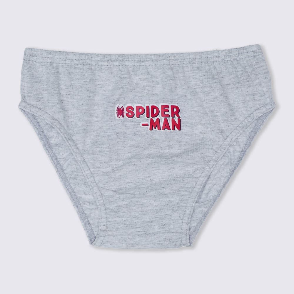 Kit 3 Cuecas Infantil 4 a 10 Anos Spider Man 133 Marvel