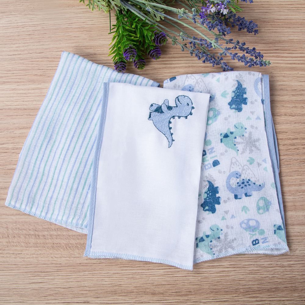 Kit 3 Panos De Boca 32 X 32 Cm 100% Algodão Havan Baby - Dino Azul