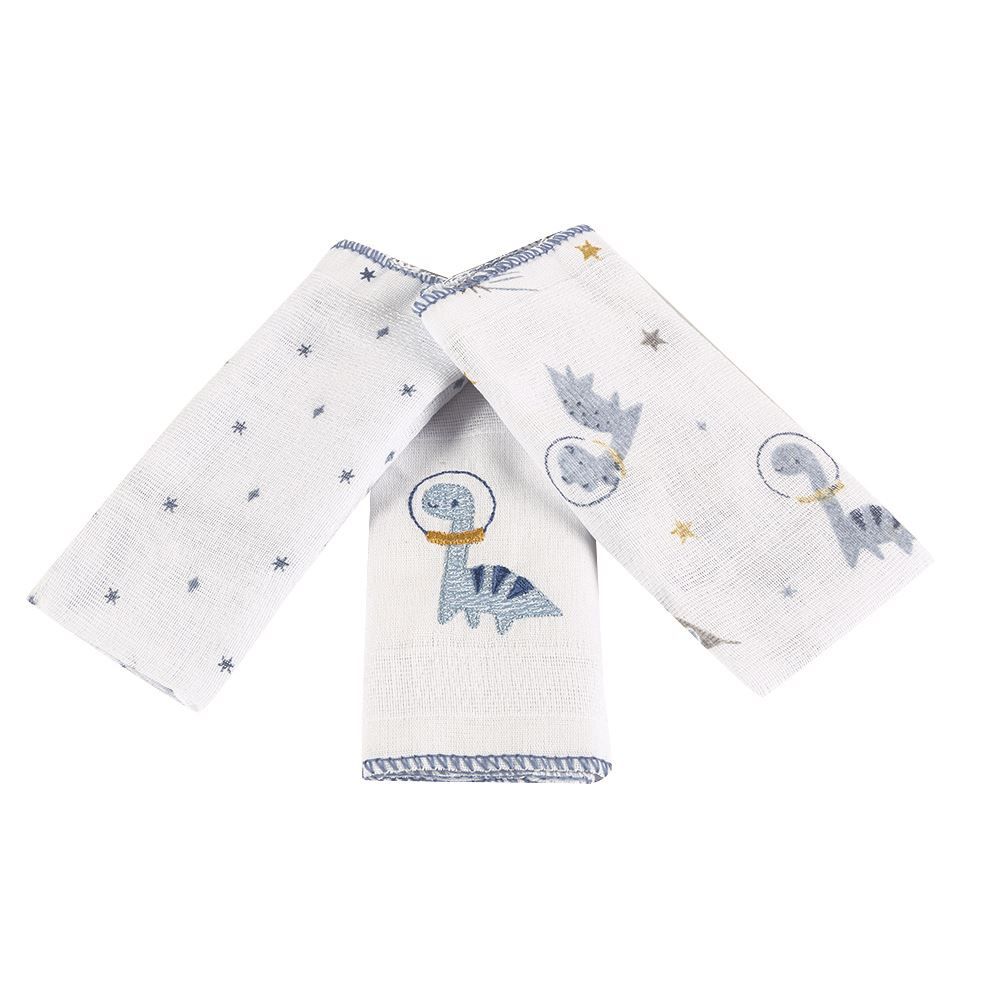 Kit Pano De Boca Prime Havan Baby - Dino Azul