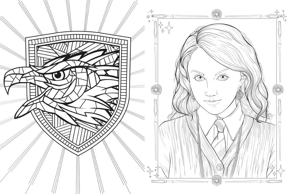 Livro Harry Potter Casas De Hogwarts - Corvinal