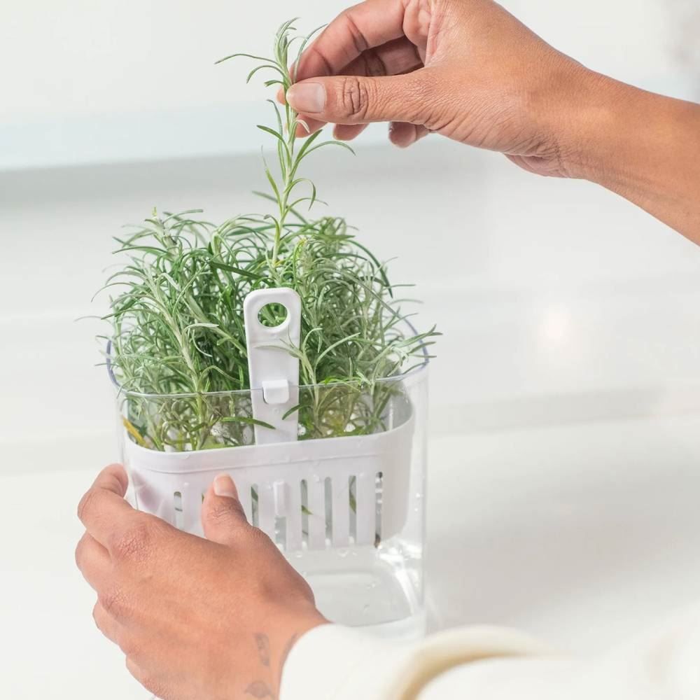 Organizador De Temperos Para Geladeira Com Cesto Clear Fresh Ou 1,5 Litros - Transparente e Branco