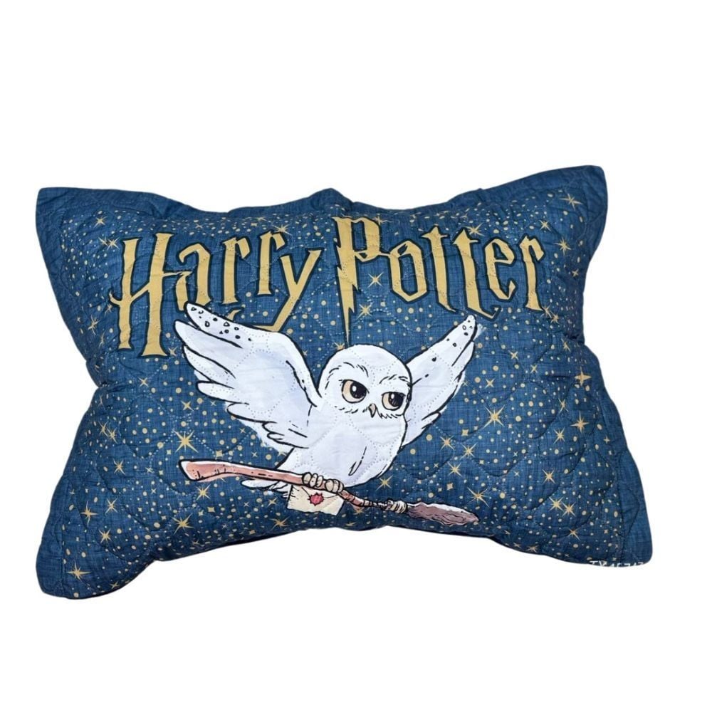 Porta Travesseiro Licenciado 55Cmx80cm Havan - EDWIGES