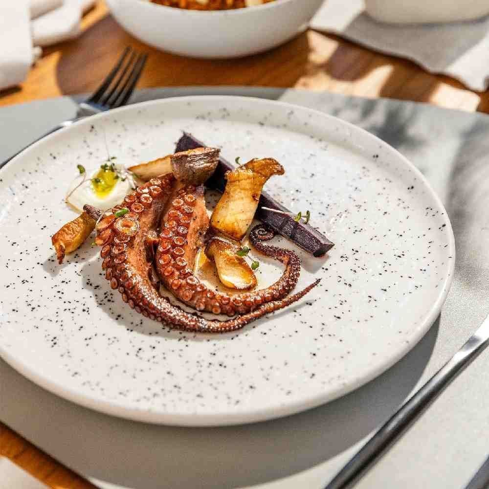 Prato Raso Flat Chuvisco Oxford 26Cm - Havan Casa 