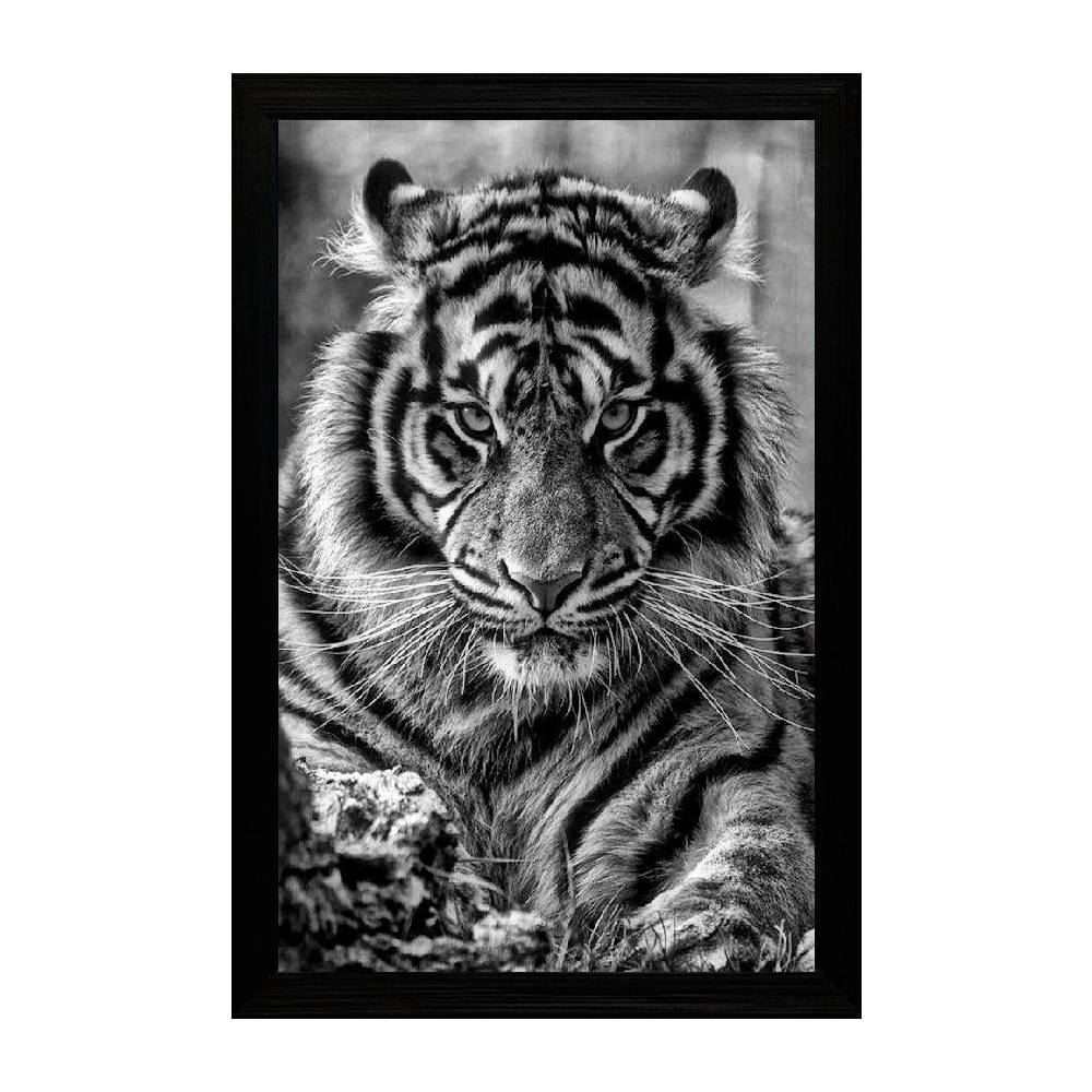 Quadro Retangular Fx Quadros 33Cm - Tigre