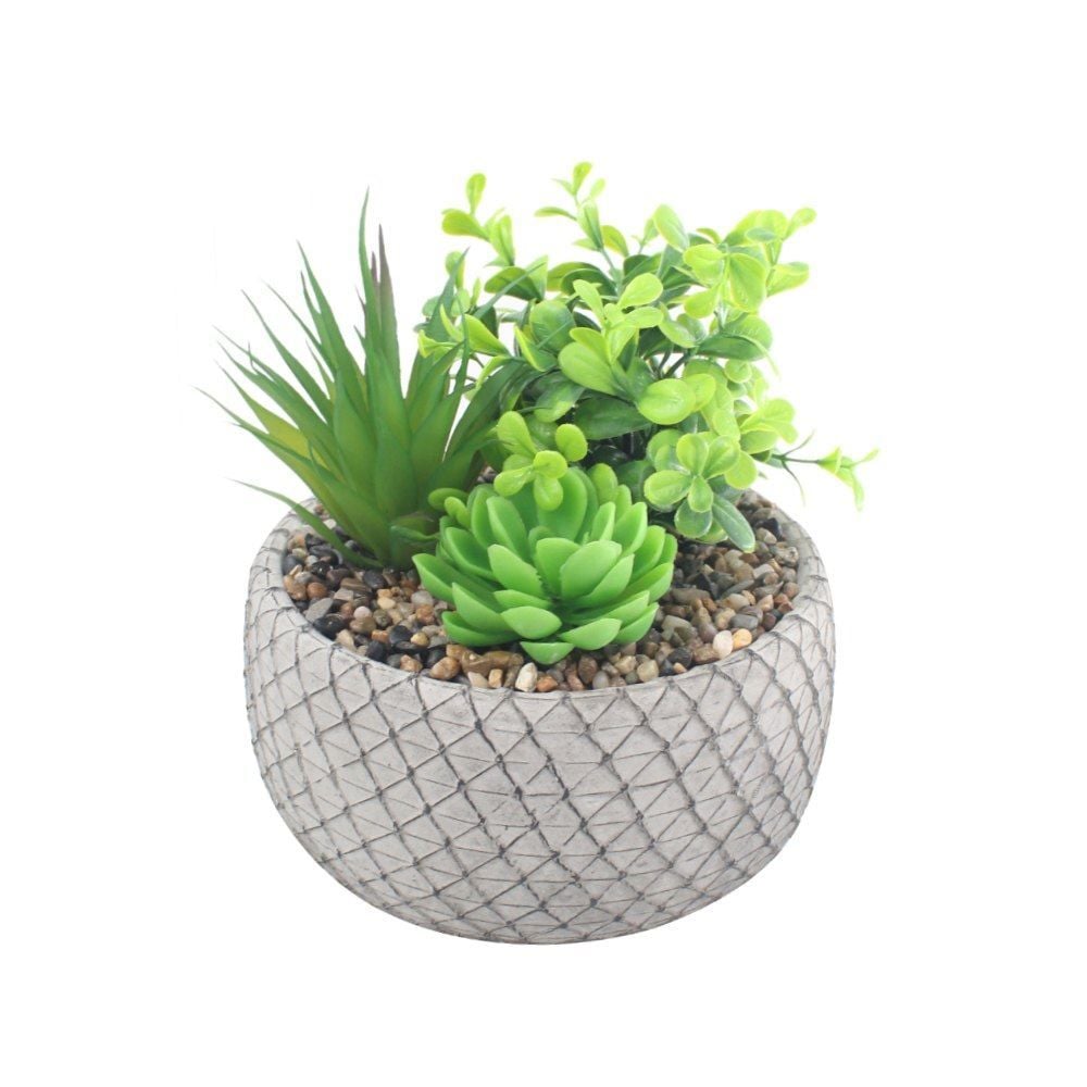 Suculenta Artificial com Vaso Cimento Havan Casa 16Cm - Sortido