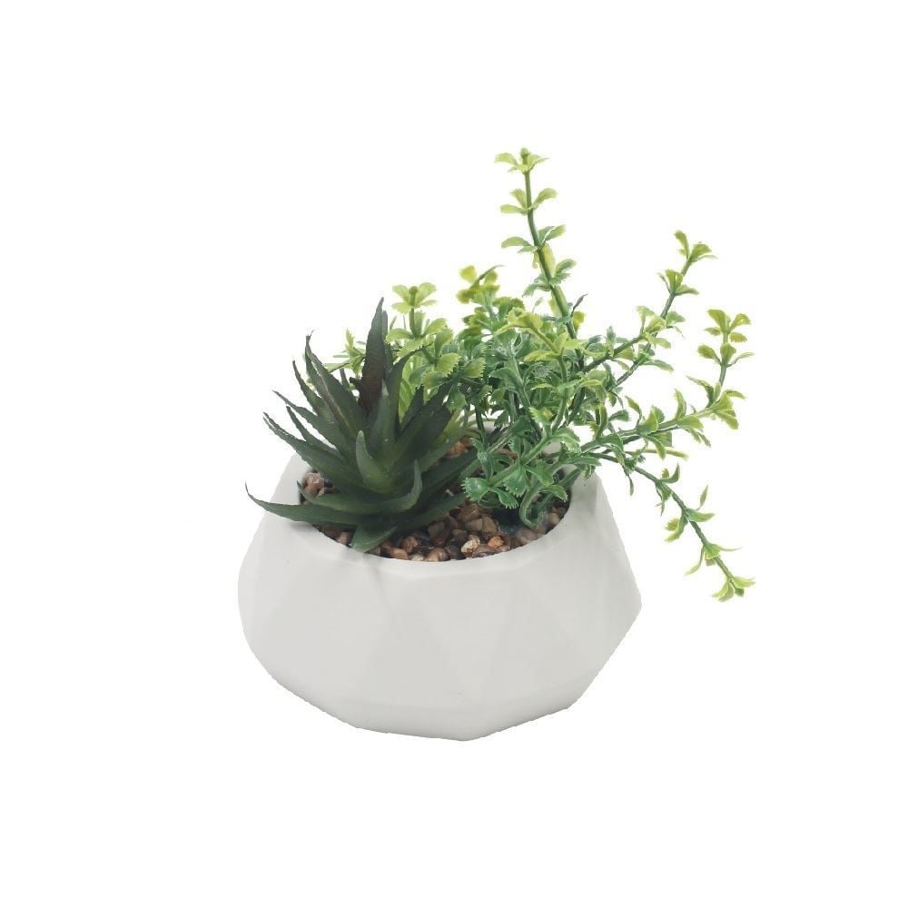 Suculenta Artificial Com Vaso De Cimento Havan Casa 12 Cm - Branco