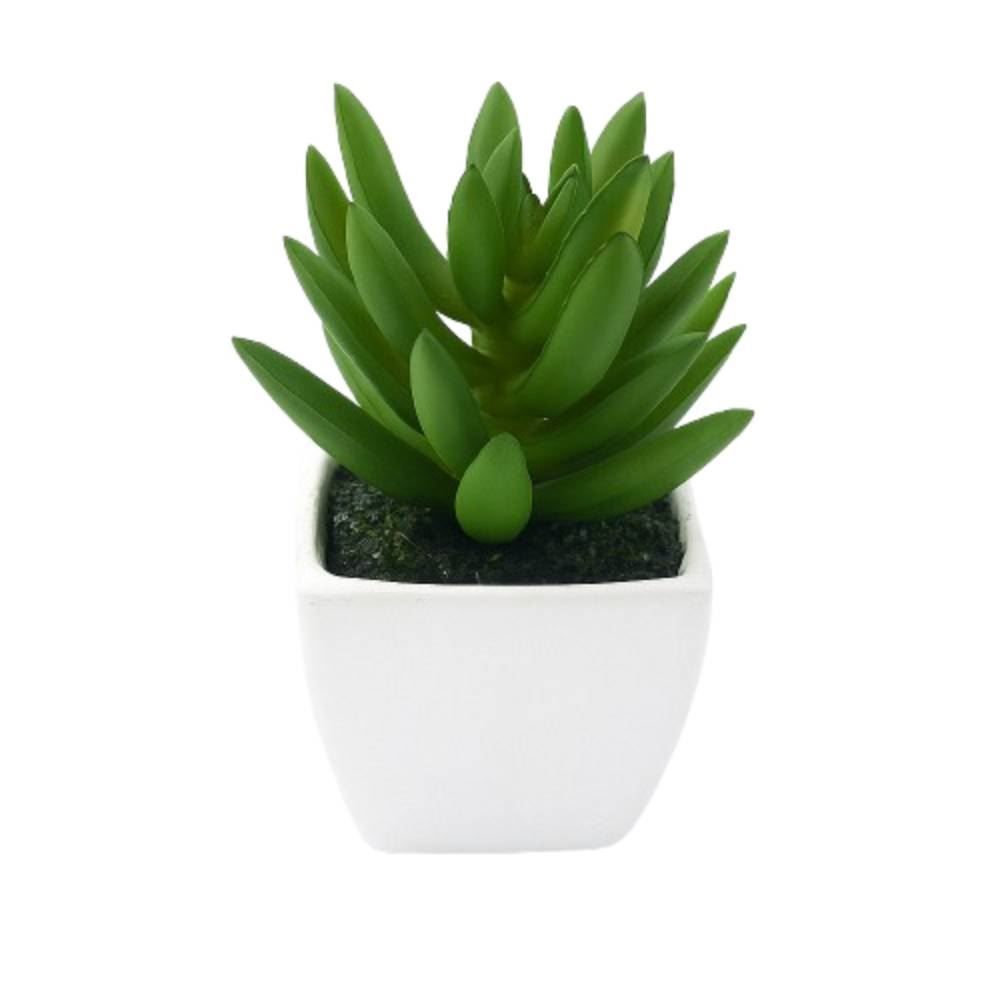 Suculenta Artificial Com Vaso Quadrado Havan Casa 8,89 Cm - Sortido