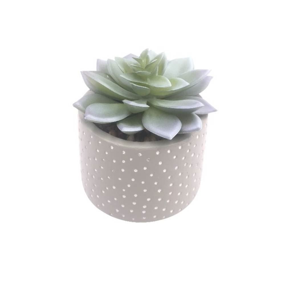 Suculenta Com Vaso 12,5Cm Havan Casa - Cinza