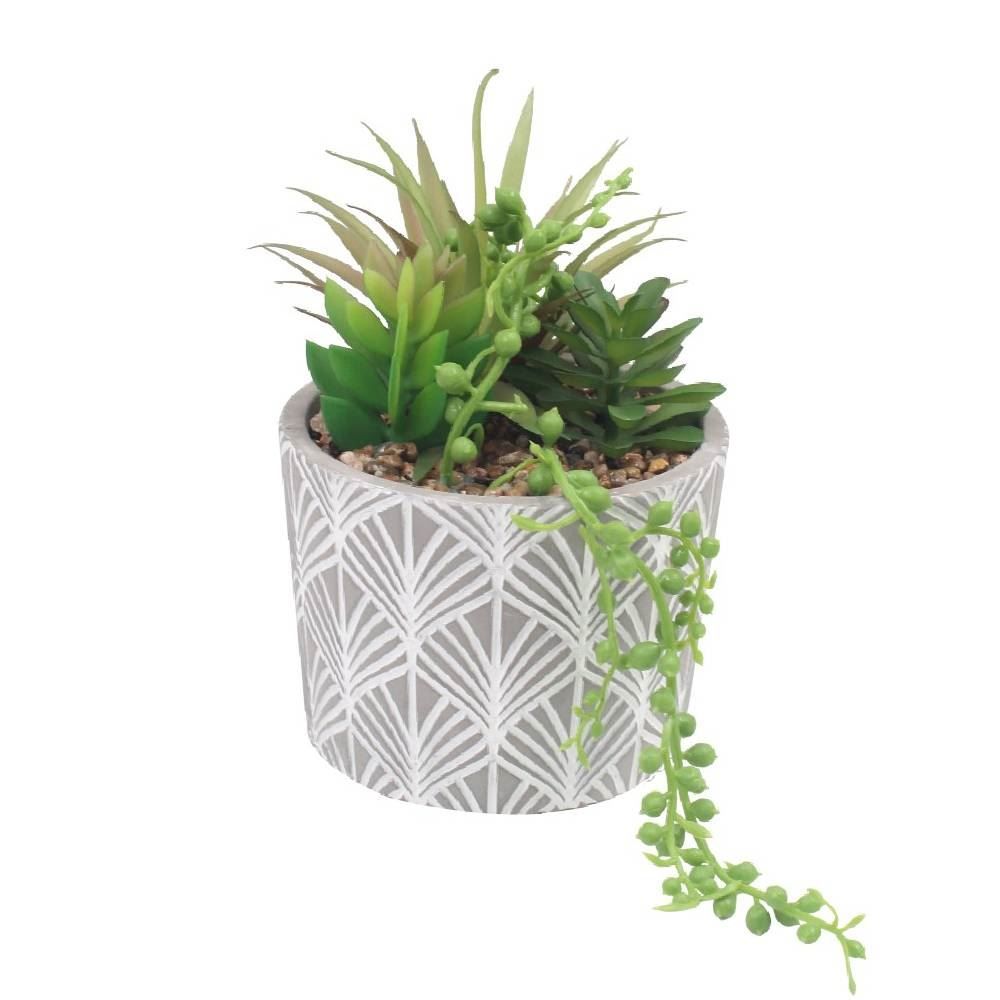 Suculenta Com Vaso De Cimento 15,8Cm - Havan Casa