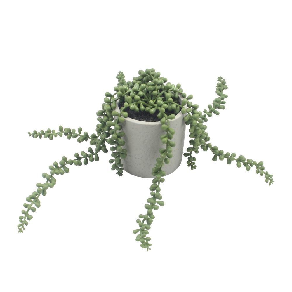 Suculenta Com Vaso De Cimento 15Cm - Havan Casa