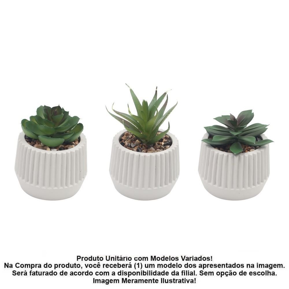 Suculenta com Vaso de Cimento Havan Casa 9Cm - Sortido