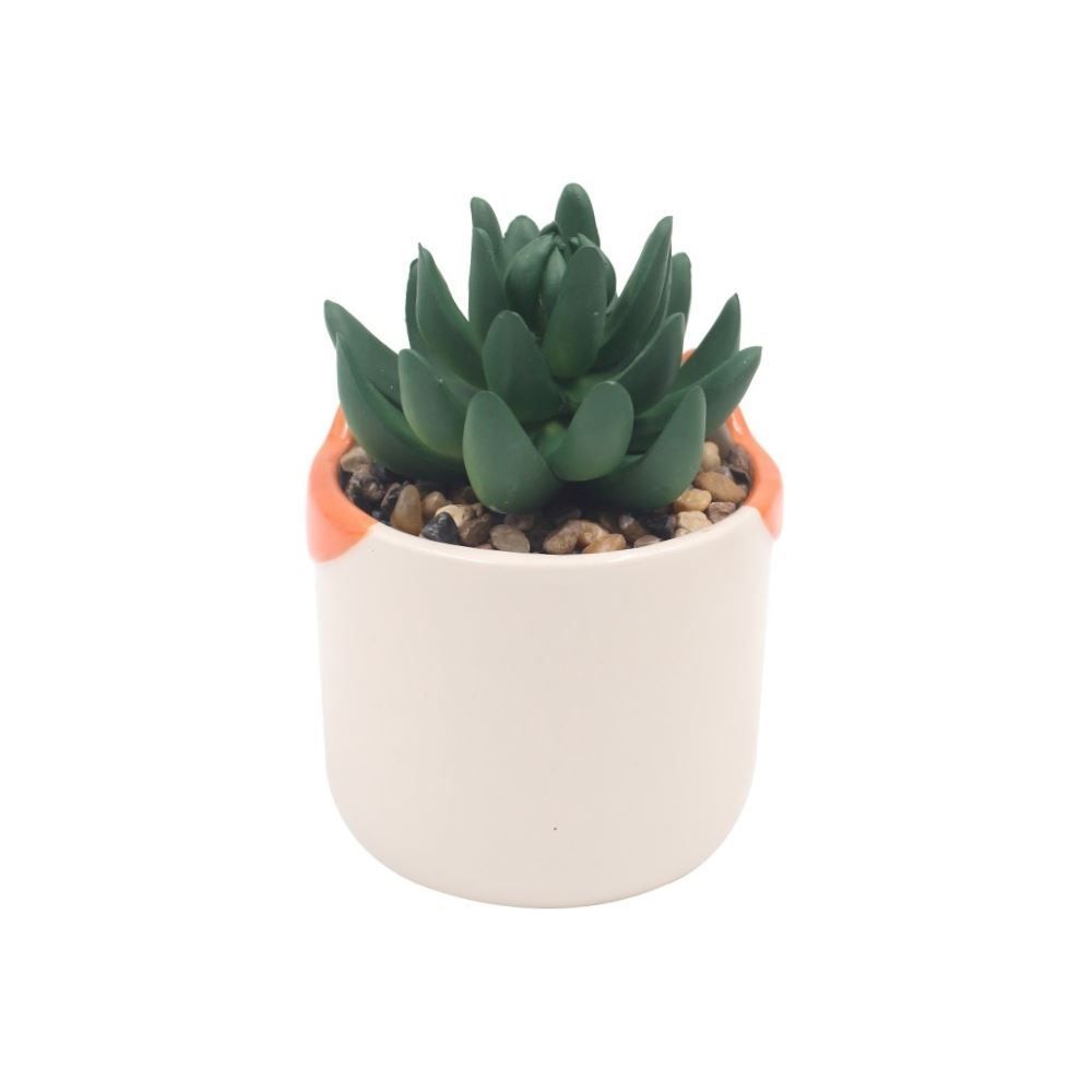 Suculenta com Vaso Decorado Havan Casa 12Cm - Sortido
