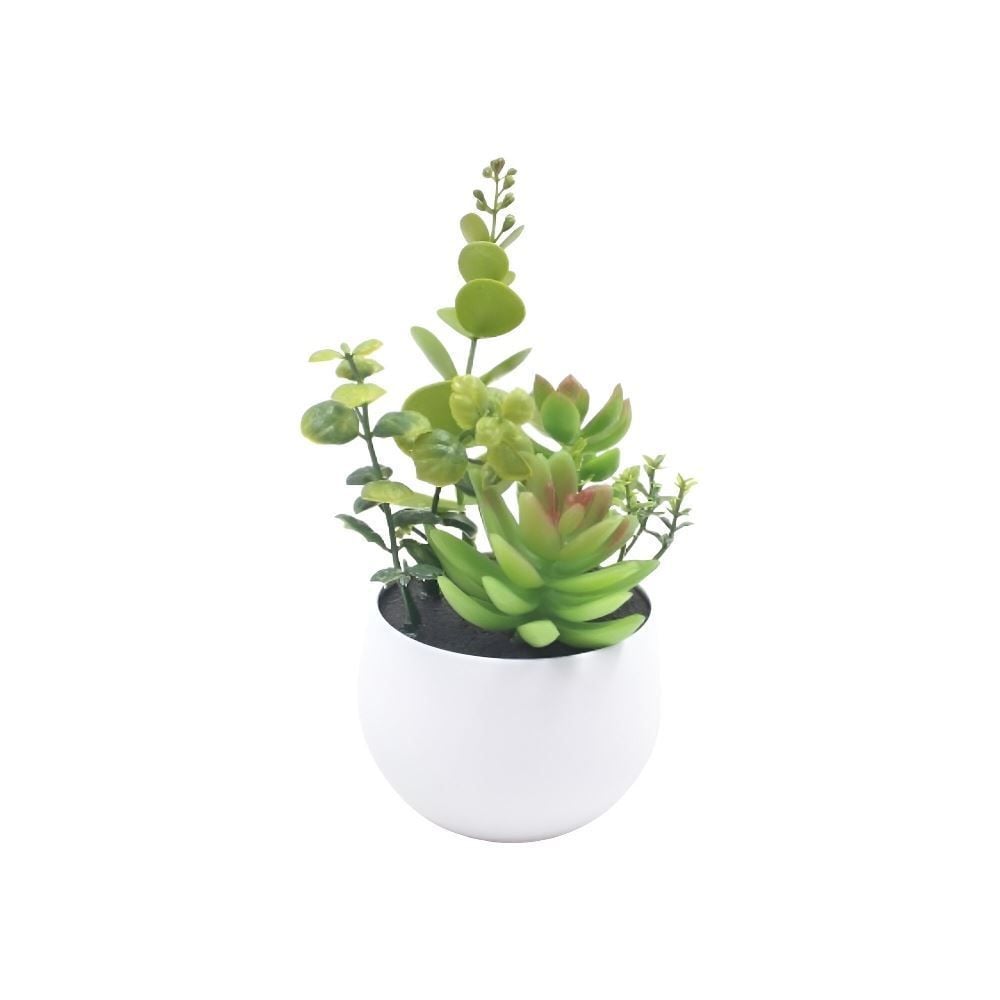 Suculenta Com Vaso Havan Casa 16Cm - Sortido