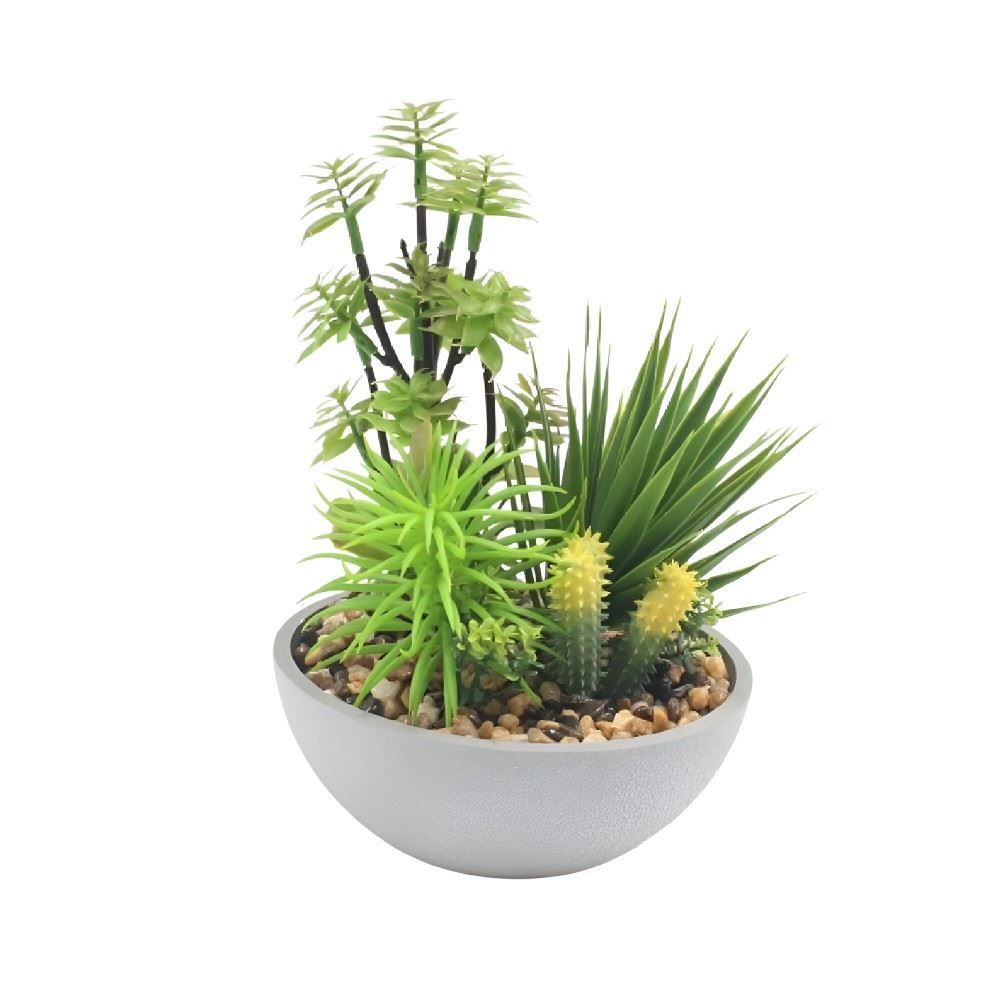 Suculenta Com Vaso Havan Casa 24Cm - Sortido