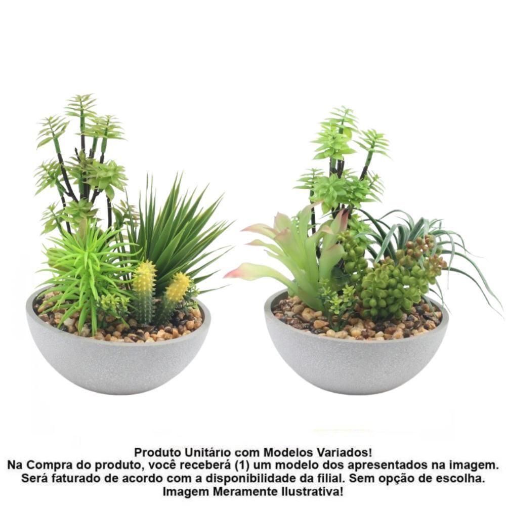 Suculenta Com Vaso Havan Casa 24Cm - Sortido