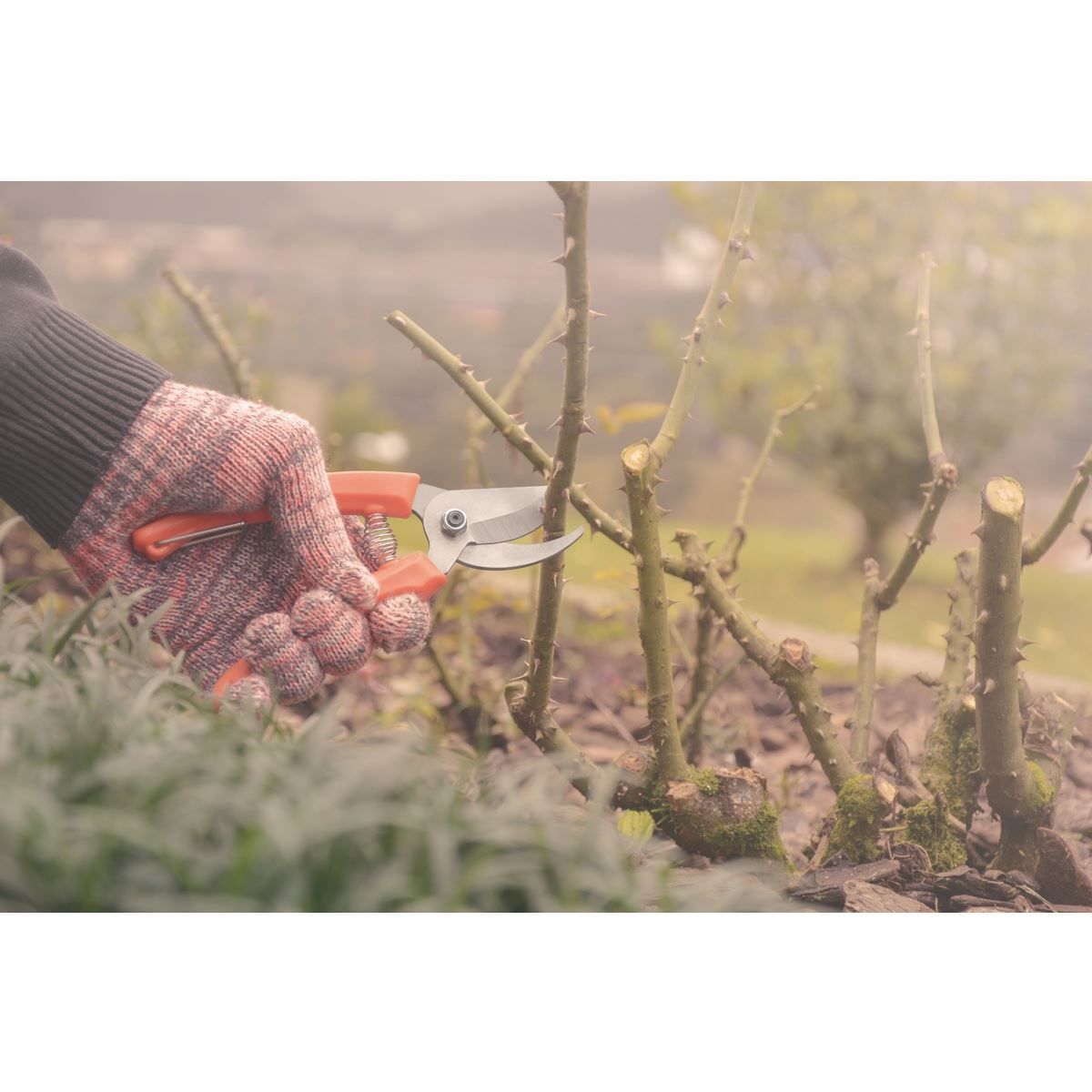 Tesoura de Poda Bypass Tramontina - 78300001