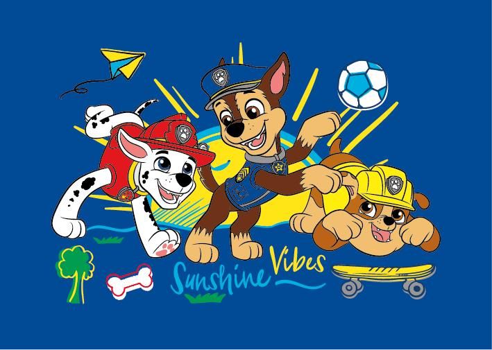 Toalha Lancheira Patrulha Canina 28X40 - PATRULHA CANINA