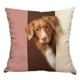Almofada Decorativa Pets Havan Casa - Pet