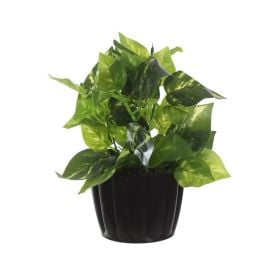 Arranjo de Folhagem Florarte 25Cm - Sortido