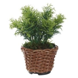 Arranjo Grass Florarte 15Cm Verde - GRASS