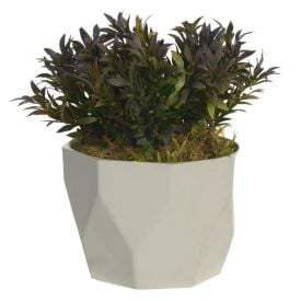Arranjo Grass Florarte 16Cm