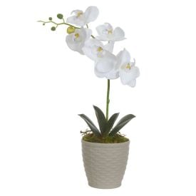 Arranjo Orquidea Florarte 37Cm - Sortidos