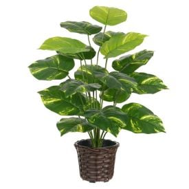 Arranjo Plantas 65Cm Florarte - Sortido