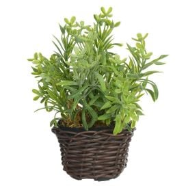 Arranjo Podocarpus Florarte 19Cm