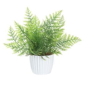 Arranjo De Flor Samambaia 24X25cm - Florarte