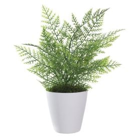Arranjo Samambaia Florarte 36Cm Verde - SAMAMBAIA