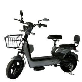 Bicicleta Elétrica Primar Bike 07 500W 48V - Cinza