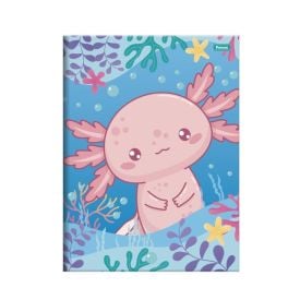 Caderno Brochura Costurado 1/4 Axolove 80 Folhas Foroni - Sortido