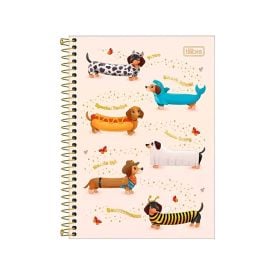 Caderno Espiral Capa Dura 1/4 Brownie 80 Folhas Tilibra - Sortido
