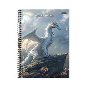 Caderno Universitário Espiral Drakos 80 Folhas Foroni - Sortido