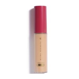 Corretivo Niina Secrets Perfect Match Cor 00 - 10ml