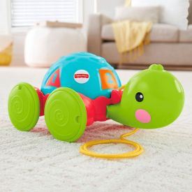 Empurra Tartaruga Fisher Price - Y8652