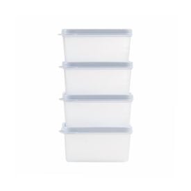 Jogo De Potes Herméticos Essencial Dup 250 Ml - 4 Peças