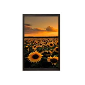 Jogo de Quadros Decorativos 28Cm 3 Peças Fx Quadros - Girassol