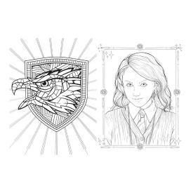 Livro Harry Potter Casas de Hogwarts - Corvinal